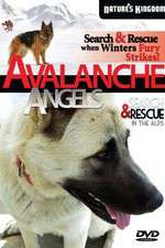 Watch Avalanche Angels Solarmovie