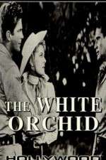 Watch The White Orchid Solarmovie
