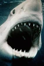 Watch Sharkmania: The Top 15 Biggest Baddest Bloodiest Bites Solarmovie