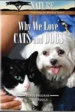 Watch Why We Love Cats And Dogs Solarmovie
