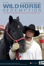 Watch The Wild Horse Redemption Solarmovie