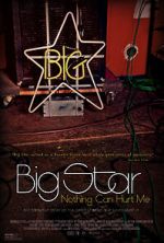 Watch Big Star: Nothing Can Hurt Me Solarmovie