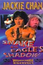 Watch Bruce Vs. Snake In Eagle's Shadow Solarmovie