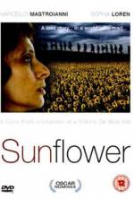 Watch Sunflower Solarmovie
