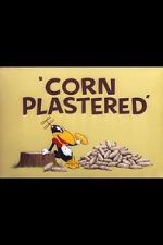 Watch Corn Plastered (Short 1951) Solarmovie