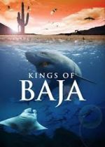 Watch Kings of Baja Solarmovie