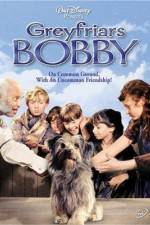 Watch Greyfriars Bobby The True Story of a Dog Solarmovie