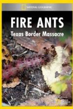 Watch National Geographic Fire Ants: Texas Border Massacre Solarmovie