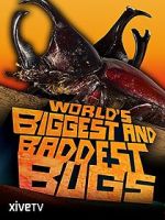 Watch World\'s Biggest and Baddest Bugs Solarmovie