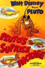 Watch Pluto\'s Surprise Package Solarmovie