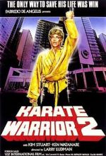 Watch Karate Warrior 2 Solarmovie