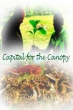 Watch Capital for the Canopy Solarmovie