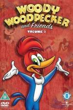 Watch Woody Woodpecker and His Friends Solarmovie