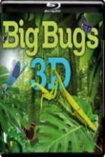 Watch Big Bugs in 3D Solarmovie