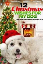 Watch 12 Christmas Wishes For My Dog Solarmovie