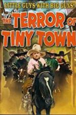 Watch The Terror of Tiny Town Solarmovie