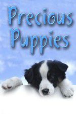 Watch Precious Puppies Solarmovie