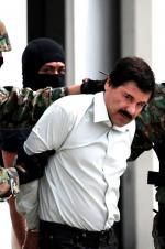 Watch The Rise and Fall of El Chapo Solarmovie