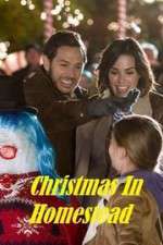 Watch Christmas in Homestead Solarmovie