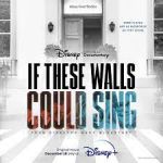 Watch If These Walls Could Sing Solarmovie