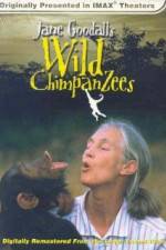 Watch Jane Goodall's Wild Chimpanzees Solarmovie