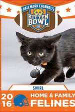 Watch Kitten Bowl III Solarmovie