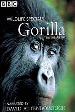 Watch Gorilla Revisited with David Attenborough Solarmovie