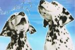 Watch 101 Dalmatians Sing Along Solarmovie