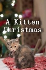Watch A Kitten Christmas Solarmovie