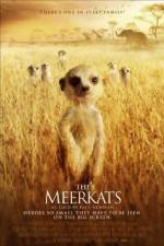 Watch The Meerkats Solarmovie
