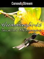 Watch Hummingbirds Jewelled Messengers Solarmovie