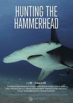 Watch Hunting the Hammerhead Solarmovie