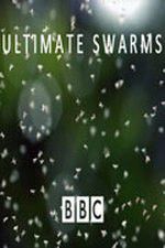 Watch Ultimate Swarms Solarmovie