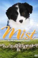 Watch Mist: The Tale of a Sheepdog Puppy Solarmovie