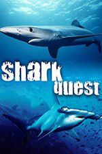 Watch Shark Quest Solarmovie