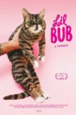 Watch Lil Bub & Friendz Solarmovie