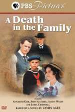 Watch A Death in the Family Solarmovie