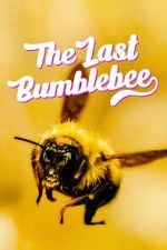 Watch The Last Bumblebee Solarmovie