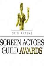 Watch The 20th Annual Screen Actors Guild Awards Solarmovie
