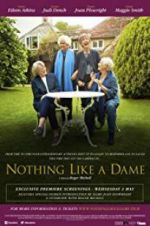 Watch Nothing Like a Dame Solarmovie