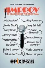 Watch The Improv: 50 Years Behind the Brick Wall (TV Special 2013) Vidbull