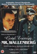 Watch Good Evening, Mr. Wallenberg Solarmovie