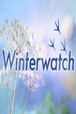 Watch Winterwatch Solarmovie