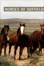 Watch Horses of Suffield Solarmovie