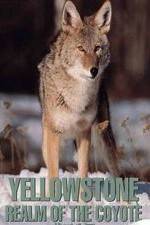 Watch Yellowstone: Realm of the Coyote Solarmovie