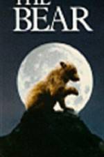 Watch The Bear - (L'ours) Solarmovie