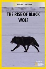 Watch The Rise of Black Wolf Solarmovie