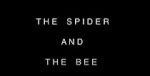 Watch The Spider and the Bee Solarmovie