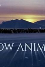 Watch Snow Animals Solarmovie