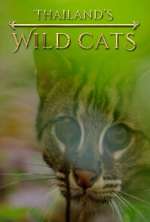 Watch Thailand's Wild Cats Solarmovie